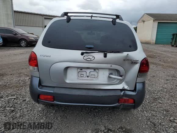 2005 Hyundai Santa Fe GLS with VIN KM8SC13E45U894450, listed as a Copart auction lot 81126475 with 117,824 mi miles and Salvage title. Bid and sale history available at DreamBid. Image 6.