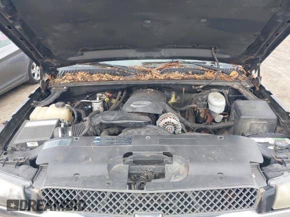 ✅ 2004 Chevrolet Silverado 1500 • VIN: 2GCEK19T941245523 • Лот: 43642068. Опубликован ранее на IAAI с пробегом 216 961 миль. Бесплатный доступ к архиву аукционных продаж из США и подробный отчёт об истории автомобиля на DreamBid. Изображение 10.