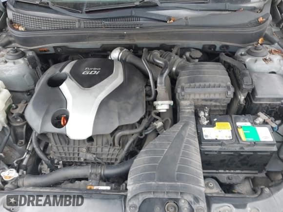 ✅ 2014 Hyundai Sonata Limited • VIN: 5NPEC4AB8EH893548 • Lot: 43651354. Wystawiony na IAAI z przebiegiem 130 317 mil. Bezpłatny archiwum sprzedaży aukcyjnych z USA i szczegółowy raport historii pojazdu na DreamBid. Zdjęcie 10.