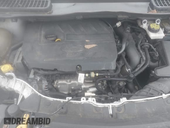 ✅ 2017 Ford Escape SE • VIN: 1FMCU9GD8HUB87051 • Лот: 42335728. Опубликован ранее на IAAI с пробегом 154 269 миль. Бесплатный доступ к архиву аукционных продаж из США и подробный отчёт об истории автомобиля на DreamBid. Изображение 10.