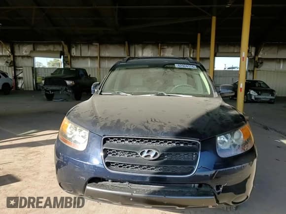 ✅ 2007 Hyundai Santa Fe GLS • VIN: 5NMSG13D67H113695 • Lot: 82924174. Listed on Copart with 187,897 mi. Free auction sales archive from the USA and detailed vehicle history report at DreamBid. Image 11.