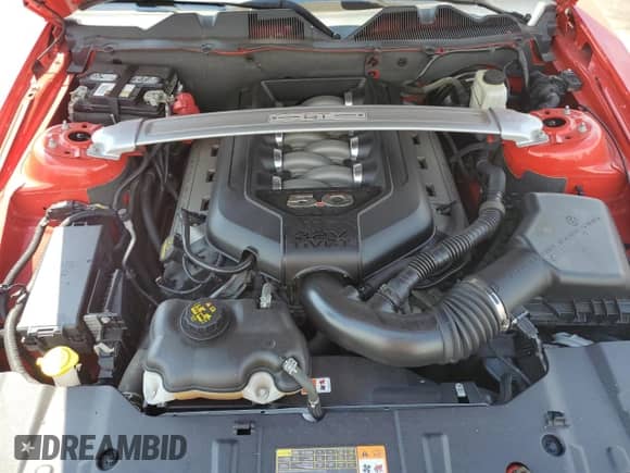 2014 Ford Mustang GT с VIN 1ZVBP8CF5E5238999, выставлен на аукционе Copart как лот 71182455 с пробегом 58 396 миль миль и Чистый • Clean title. История ставок и продаж доступна на DreamBid. Изображение 11.