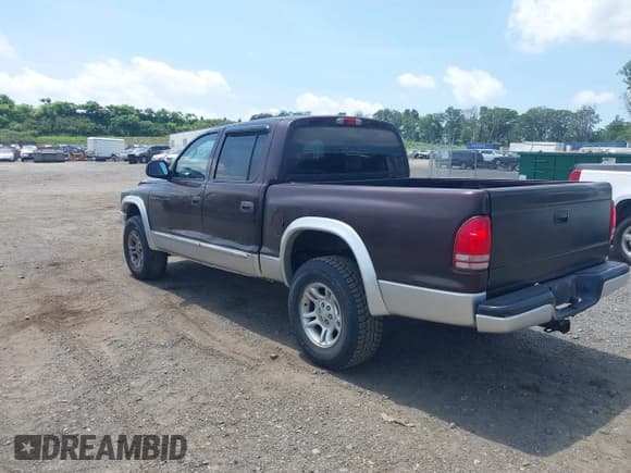 ✅ 2004 Dodge Dakota SLT • VIN: 1D7HG48NX4S649522 • Lot: 42580132. Listed on IAAI with 124,037 mi. Free auction sales archive from the USA and detailed vehicle history report at DreamBid. Image 3.