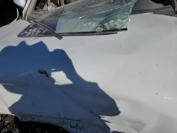 ✅ 1995 Honda Accord LX • VIN: 1HGCD5634SA021951 • Lot: 75093974. Wystawiony na Copart z przebiegiem 219 733 mil. Bezpłatny archiwum sprzedaży aukcyjnych z USA i szczegółowy raport historii pojazdu na DreamBid. Zdjęcie 11.