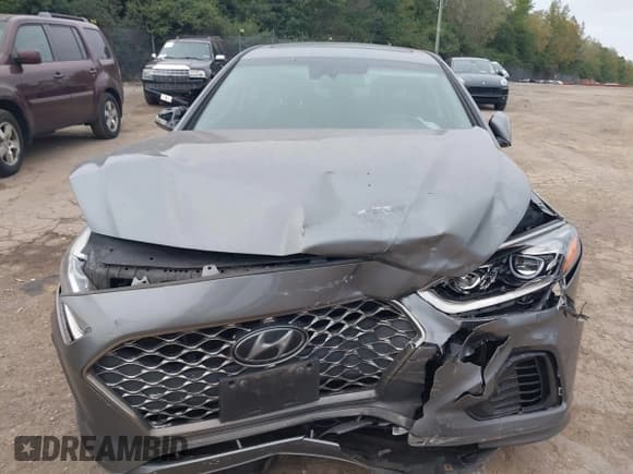 ✅ 2019 Hyundai Sonata SEL • VIN: 5NPE34AF4KH732872 • Lot: 43225387. Listed on IAAI with 64,888 mi. Free auction sales archive from the USA and detailed vehicle history report at DreamBid. Image 13.