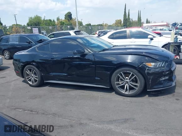 ✅ 2016 Ford Mustang EcoBoost • VIN: 1FA6P8TH1G5274932 • Lot: 43067038. Listed on IAAI with 50,177 mi. Free auction sales archive from the USA and detailed vehicle history report at DreamBid. Image 13.