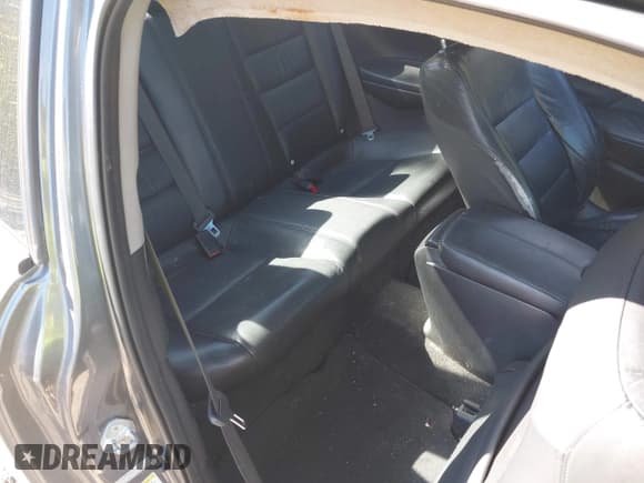 ✅ 2010 Honda Accord EX-L • VIN: 1HGCS2B84AA000134 • Lot: 43501518. Wystawiony na IAAI z przebiegiem 221 138 mil. Bezpłatny archiwum sprzedaży aukcyjnych z USA i szczegółowy raport historii pojazdu na DreamBid. Zdjęcie 8.