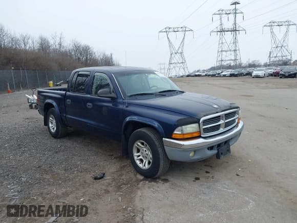 ✅ 2003 Dodge Dakota SLT • VIN: 1D7HL48X23S261258 • Lot: 41362485. Wystawiony na IAAI z przebiegiem 143 397 mil. Bezpłatny archiwum sprzedaży aukcyjnych z USA i szczegółowy raport historii pojazdu na DreamBid. Zdjęcie 1.
