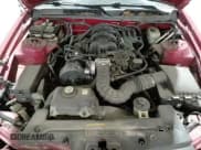 ✅ 2005 Ford Mustang Deluxe • VIN: 1ZVFT80N055117399 • Лот: 82989924. Опубликован ранее на Copart с пробегом 116 442 миль. Бесплатный доступ к архиву аукционных продаж из США и подробный отчёт об истории автомобиля на DreamBid. Изображение 13.