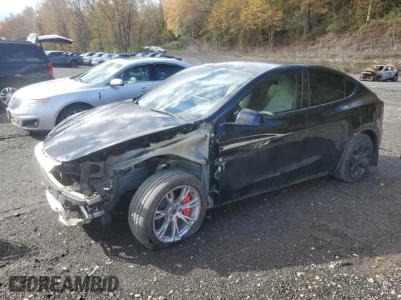 ✅ 2024 Tesla Model Y Long Range • VIN: 7SAYGAEE3RF011102 • Лот: 82683615. Опубликован ранее на Copart с пробегом 32 478 миль. Бесплатный доступ к архиву аукционных продаж из США и подробный отчёт об истории автомобиля на DreamBid. Изображение 1.