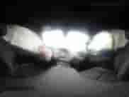 2025 Chevrolet Equinox FWD LT с VIN 3GNAXHEG5SL134200, выставлен на аукционе IAAI как лот 41946422 с пробегом 6 968 миль миль и . История ставок и продаж доступна на DreamBid. Изображение 18.