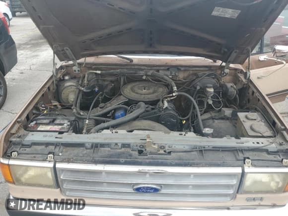 ✅ 1987 Ford F-150 • VIN: 2FTEF15H8HCA66731 • Lot: 58696774. Wystawiony na Copart z przebiegiem 81 683 mil. Bezpłatny archiwum sprzedaży aukcyjnych z USA i szczegółowy raport historii pojazdu na DreamBid. Zdjęcie 11.