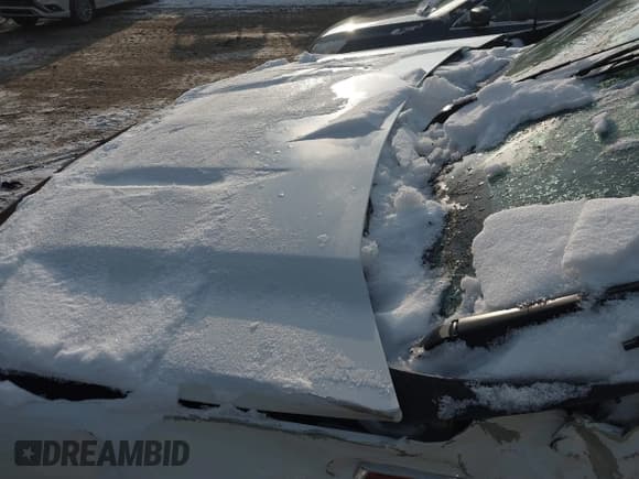 ✅ 2019 Chevrolet Silverado 1500 RST • VIN: 1GCRYEEDXKZ273955 • Lot: 41211019. Wystawiony na IAAI z przebiegiem Nie podano. Bezpłatny archiwum sprzedaży aukcyjnych z USA i szczegółowy raport historii pojazdu na DreamBid. Zdjęcie 10.