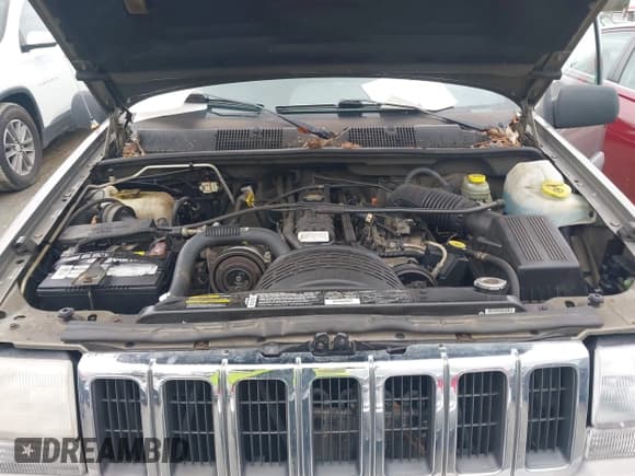 ✅ 1998 Jeep Grand Cherokee Laredo • VIN: 1J4GZ58S2WC249411 • Lot: 43873044. Listed on IAAI with 141,015 mi. Free auction sales archive from the USA and detailed vehicle history report at DreamBid. Image 10.