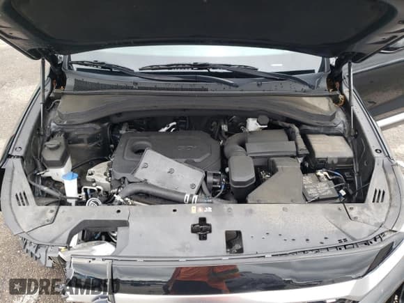 ✅ 2020 Hyundai Santa Fe SEL • VIN: 5NMS3CAD1LH250337 • Lot: 62990333. Wystawiony na Copart z przebiegiem 57 847 mil. Bezpłatny archiwum sprzedaży aukcyjnych z USA i szczegółowy raport historii pojazdu na DreamBid. Zdjęcie 13.