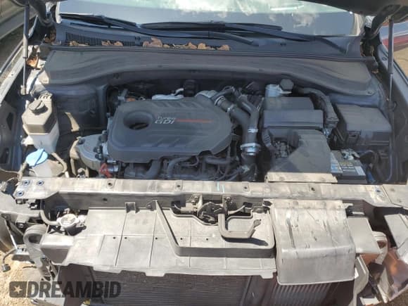 ✅ 2019 Hyundai Santa Fe Limited • VIN: 5NMS53AAXKH046506 • Lot: 60848334. Wystawiony na Copart z przebiegiem 88 339 mil. Bezpłatny archiwum sprzedaży aukcyjnych z USA i szczegółowy raport historii pojazdu na DreamBid. Zdjęcie 12.