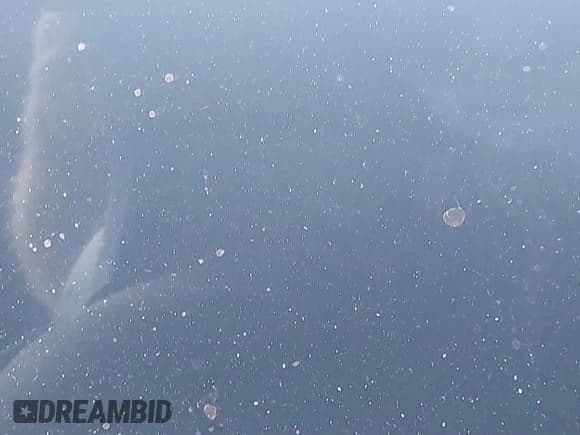 ✅ 2021 Porsche Taycan 4S • VIN: WP0AB2Y19MSA43336 • Lot: 43345182. Listed on IAAI with Not provided. Free auction sales archive from the USA and detailed vehicle history report at DreamBid. Image 16.