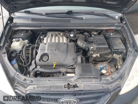 ✅ 2008 Kia Rondo LX • VIN: KNAFG526X87183993 • Lot: 43443551. Wystawiony na IAAI z przebiegiem 218 563 mil. Bezpłatny archiwum sprzedaży aukcyjnych z USA i szczegółowy raport historii pojazdu na DreamBid. Zdjęcie 10.