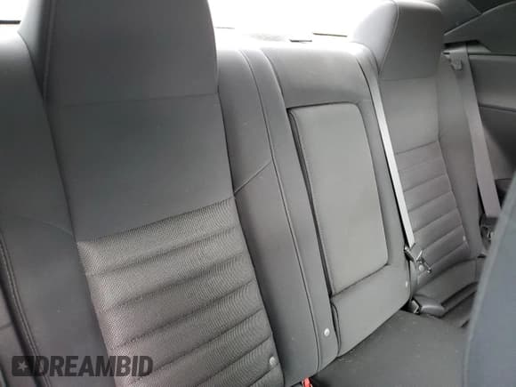 ✅ 2010 Dodge Challenger SE • VIN: 2B3CJ4DV6AH103431 • Lot: 53477725. Wystawiony na Copart z przebiegiem 126 526 mil. Bezpłatny archiwum sprzedaży aukcyjnych z USA i szczegółowy raport historii pojazdu na DreamBid. Zdjęcie 10.