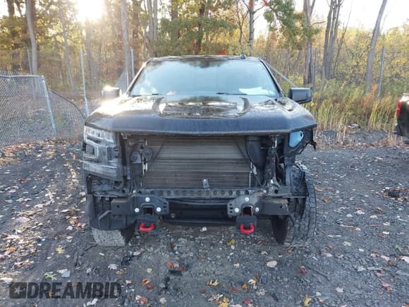 ✅ 2020 Chevrolet Silverado 1500 LT Trail Boss • VIN: 1GCPYFED1LZ184726 • Лот: 43451694. Опубликован ранее на IAAI с пробегом 139 762 миль. Бесплатный доступ к архиву аукционных продаж из США и подробный отчёт об истории автомобиля на DreamBid. Изображение 12.