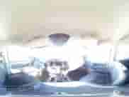 2008 Dodge 1500 SLT with VIN 3D7KS19D68G211036, listed as a Copart auction lot 50255955 with 90,118 mi miles and Salvage title. Bid and sale history available at DreamBid. Image 12.