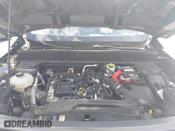 ✅ 2021 Ford Bronco Sport Big Bend • VIN: 3FMCR9B63MRB04640 • Лот: 43631127. Опубликован ранее на IAAI с пробегом 45 546 миль. Бесплатный доступ к архиву аукционных продаж из США и подробный отчёт об истории автомобиля на DreamBid. Изображение 10.