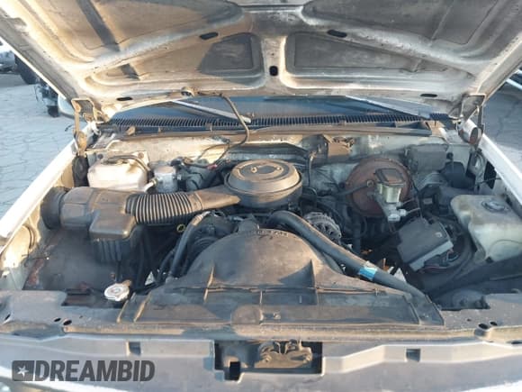 ✅ 1995 Chevrolet Silverado 1500 • VIN: 1GCEC14Z4SZ281066 • Lot: 43501939. Wystawiony na IAAI z przebiegiem 272 396 mil. Bezpłatny archiwum sprzedaży aukcyjnych z USA i szczegółowy raport historii pojazdu na DreamBid. Zdjęcie 10.