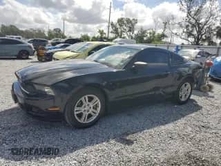 2014 Ford Mustang V6 с VIN 1ZVBP8AM8E5255765, выставлен на аукционе Copart как лот 82242845 с пробегом 130 492 миль миль и Списание • Salvage title. История ставок и продаж доступна на DreamBid. Изображение 1.