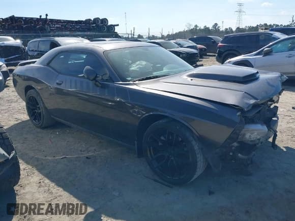 ✅ 2014 Dodge Challenger R/T 100th Anniversary Appearance • VIN: 2C3CDYBT0EH203243 • Lot: 41662977. Listed on IAAI with Not provided. Free auction sales archive from the USA and detailed vehicle history report at DreamBid. Image 1.