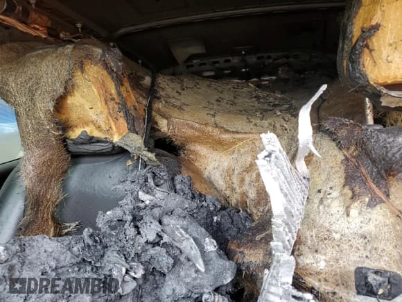 ✅ 2018 Buick Encore Preferred II • VIN: KL4CJBSB3JB525428 • Лот: 81957795. Опубликован ранее на Copart с пробегом Не указан. Бесплатный доступ к архиву аукционных продаж из США и подробный отчёт об истории автомобиля на DreamBid. Изображение 10.