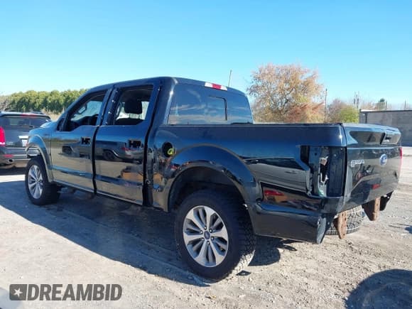 ✅ 2017 Ford F-150 XL • VIN: 1FTEW1EF0HFA69139 • Lot: 43505777. Wystawiony na IAAI z przebiegiem 135 596 mil. Bezpłatny archiwum sprzedaży aukcyjnych z USA i szczegółowy raport historii pojazdu na DreamBid. Zdjęcie 3.