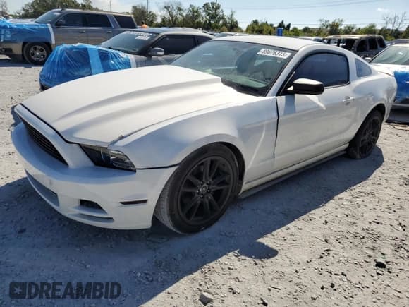✅ 2013 Ford Mustang V6 • VIN: 1ZVBP8AM7D5241693 • Lot: 89676315. Wystawiony na Copart z przebiegiem 127 309 mil. Bezpłatny archiwum sprzedaży aukcyjnych z USA i szczegółowy raport historii pojazdu na DreamBid. Zdjęcie 1.