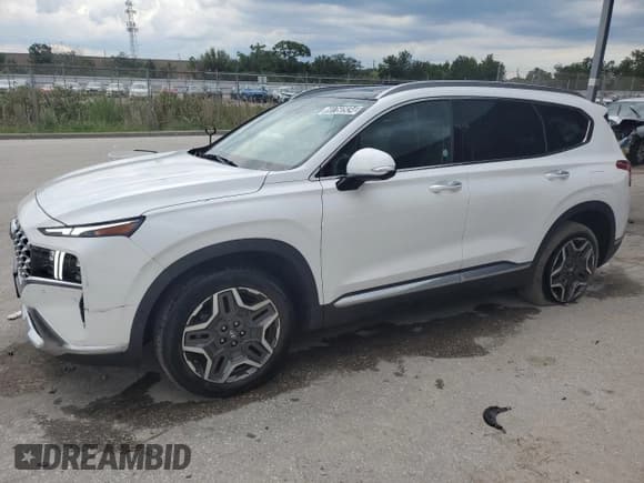 ✅ 2023 Hyundai Santa Fe Limited • VIN: 5NMS44AL0PH522974 • Lot: 60760934. Wystawiony na Copart z przebiegiem 42 467 mil. Bezpłatny archiwum sprzedaży aukcyjnych z USA i szczegółowy raport historii pojazdu na DreamBid. Zdjęcie 1.