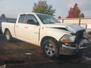 ✅ 2010 Dodge 1500 SLT • VIN: 1D7RV1GP1AS173748 • Lot: 43566678. Listed on IAAI with 169,034 mi. Free auction sales archive from the USA and detailed vehicle history report at DreamBid. Image 1.