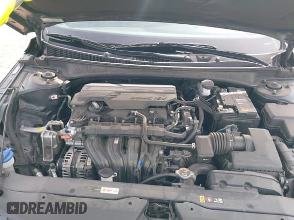 ✅ 2024 Hyundai Elantra SEL • VIN: KMHLM4DGXRU635843 • Lot: 43279016. Listed on IAAI with 32,546 mi. Free auction sales archive from the USA and detailed vehicle history report at DreamBid. Image 10.