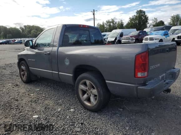 2002 Dodge 1500 with VIN 1D7HA16N42J204683, listed as a Copart auction lot 64725444 with 208,278 mi miles and Salvage title. Bid and sale history available at DreamBid. Image 2.