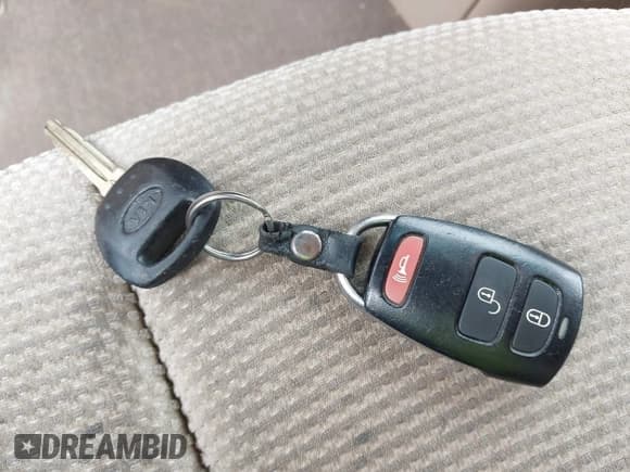 ✅ 2009 Kia Sedona • VIN: KNDMB133396277095 • Lot: 42474443. Wystawiony na IAAI z przebiegiem 187 937 mil. Bezpłatny archiwum sprzedaży aukcyjnych z USA i szczegółowy raport historii pojazdu na DreamBid. Zdjęcie 11.