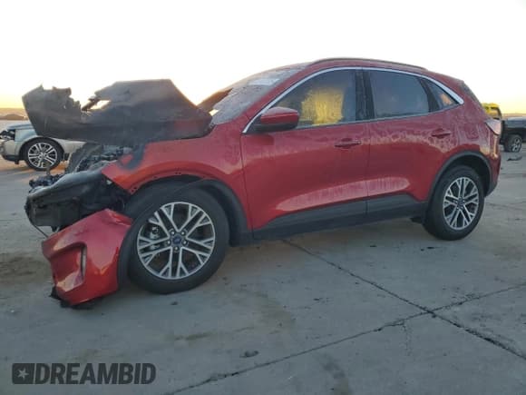 ✅ 2021 Ford Escape SEL • VIN: 1FMCU0H65MUB32353 • Lot: 42047125. Listed on Copart with Not provided. Free auction sales archive from the USA and detailed vehicle history report at DreamBid. Image 1.