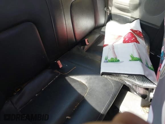 ✅ 2001 Volkswagen Beetle GLS • VIN: 3VWCK21C21M437067 • Lot: 42935262. Wystawiony na IAAI z przebiegiem 190 958 mil. Bezpłatny archiwum sprzedaży aukcyjnych z USA i szczegółowy raport historii pojazdu na DreamBid. Zdjęcie 8.