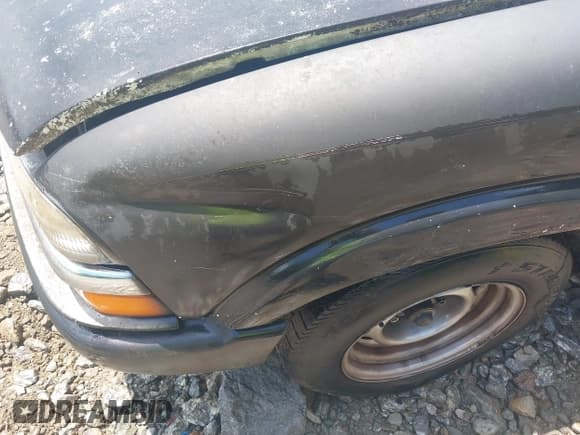 ✅ 2000 Chevrolet S-10 LS • VIN: 1GCCS1456YK204305 • Лот: 42619543. Опубликован ранее на IAAI с пробегом Не указан. Бесплатный доступ к архиву аукционных продаж из США и подробный отчёт об истории автомобиля на DreamBid. Изображение 11.