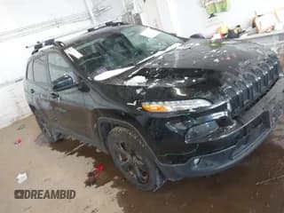 ✅ 2016 Jeep Cherokee Limited • VIN: 1C4PJMDB9GW344884 • Lot: 41348741. Wystawiony na IAAI z przebiegiem 130 835 mil. Bezpłatny archiwum sprzedaży aukcyjnych z USA i szczegółowy raport historii pojazdu na DreamBid. Zdjęcie 1.