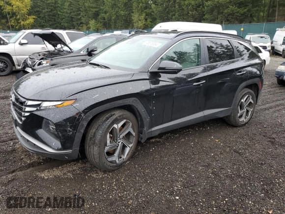 ✅ 2023 Hyundai Tucson SEL • VIN: 5NMJFCAEXPH162386 • Lot: 75878384. Wystawiony na Copart z przebiegiem 32 216 mil. Bezpłatny archiwum sprzedaży aukcyjnych z USA i szczegółowy raport historii pojazdu na DreamBid. Zdjęcie 1.