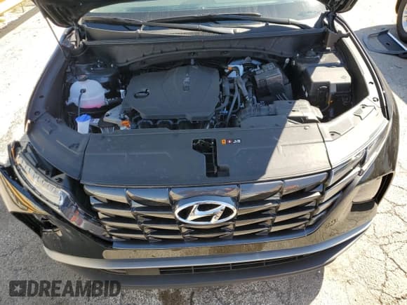 ✅ 2024 Hyundai Tucson SEL • VIN: 5NMJBCDEXRH425468 • Lot: 69986884. Wystawiony na Copart z przebiegiem 302 mil. Bezpłatny archiwum sprzedaży aukcyjnych z USA i szczegółowy raport historii pojazdu na DreamBid. Zdjęcie 12.