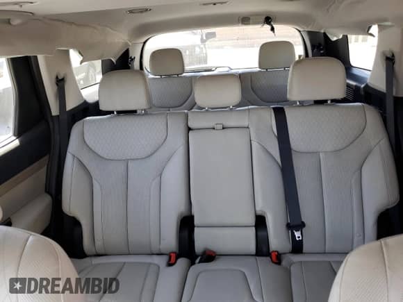 2022 Hyundai Palisade SEL с VIN KM8R44HE8NU351561, выставлен на аукционе Copart как лот 67564814 с пробегом 42 337 миль миль и Списание • Salvage title. История ставок и продаж доступна на DreamBid. Изображение 10.