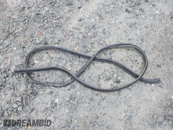 ✅ 1998 Honda Accord LX • VIN: 1HGCG5645WA033628 • Лот: 43864348. Опубликован ранее на IAAI с пробегом 226 932 миль. Бесплатный доступ к архиву аукционных продаж из США и подробный отчёт об истории автомобиля на DreamBid. Изображение 12.