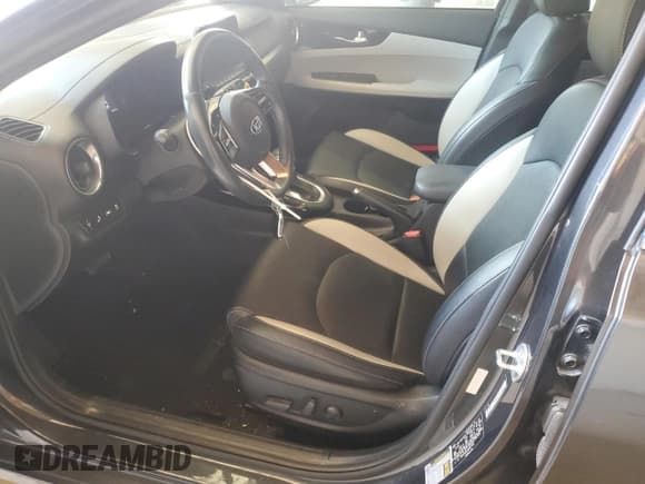 ✅ 2019 Kia Forte EX • VIN: 3KPF54AD1KE037749 • Лот: 85859405. Опубликован ранее на Copart с пробегом 44 111 миль. Бесплатный доступ к архиву аукционных продаж из США и подробный отчёт об истории автомобиля на DreamBid. Изображение 7.