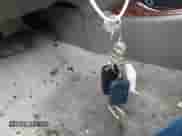 2004 Hyundai Sonata GLS z VIN KMHWF35H74A995106, wystawiony jako IAAI lot #41478439 z przebiegiem 212 914 mil mil oraz . Historia ofert i sprzedaży dostępna na DreamBid. Obrazek 11.