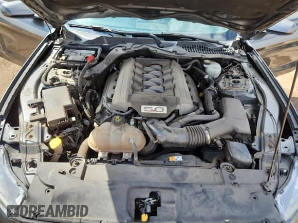 ✅ 2017 Ford Mustang GT • VIN: 1FA6P8CF9H5225350 • Lot: 71444785. Wystawiony na Copart z przebiegiem 69 402 mil. Bezpłatny archiwum sprzedaży aukcyjnych z USA i szczegółowy raport historii pojazdu na DreamBid. Zdjęcie 11.