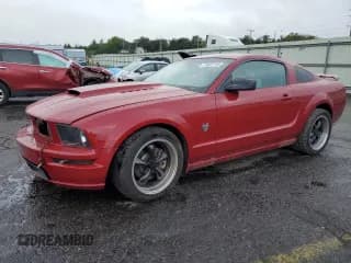 ✅ 2009 Ford Mustang GT • VIN: 1ZVHT82H795130785 • Лот: 71597715. Опубликован ранее на Copart с пробегом 88 730 миль. Бесплатный доступ к архиву аукционных продаж из США и подробный отчёт об истории автомобиля на DreamBid. Изображение 1.