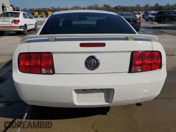 ✅ 2006 Ford Mustang Standard • VIN: 1ZVFT80N665140137 • Lot: 91023655. Listed on Copart with 165,034 mi. Free auction sales archive from the USA and detailed vehicle history report at DreamBid. Image 6.